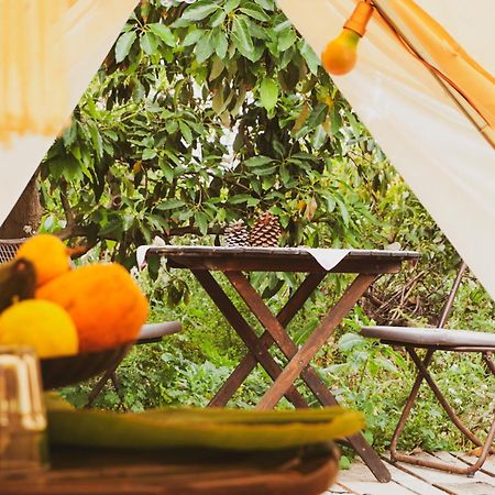 Yurt In Avocado Garden Hotel Guimar Luaran gambar