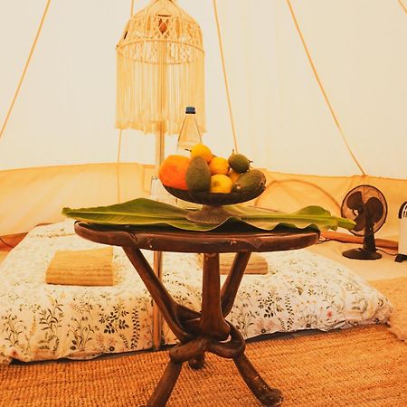 Yurt In Avocado Garden Hotel Guimar Luaran gambar
